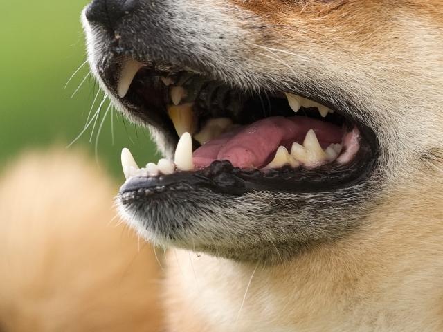 洗濯機の汚れやカビ